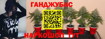 COCAINE Будённовск