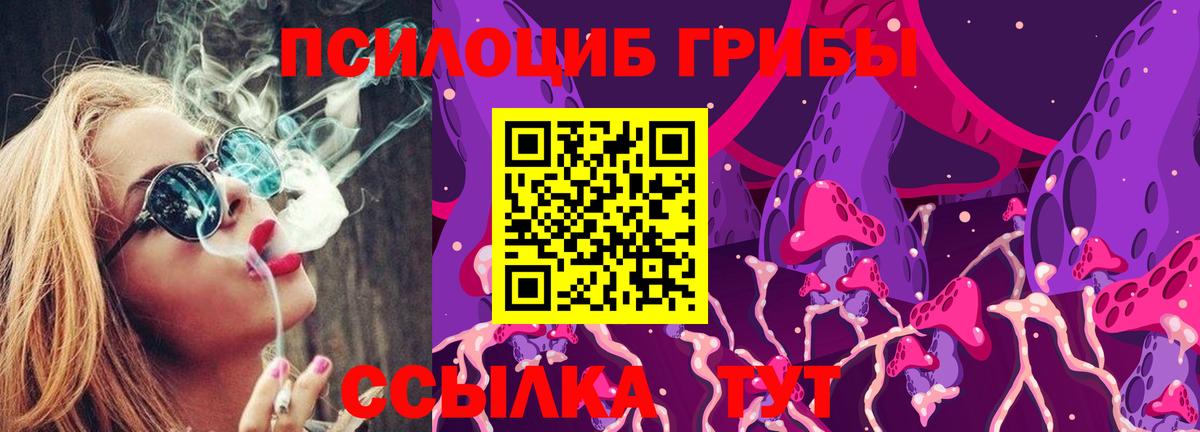 Галлюциногенные грибы прущие грибы Сегежа