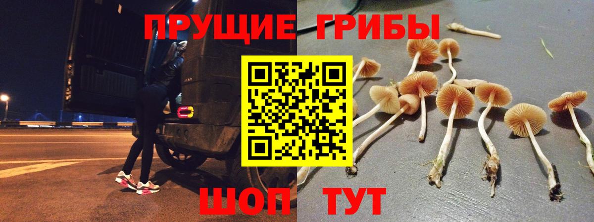 Псилоцибиновые грибы прущие грибы  Вход с VPN  купить   Сегежа 